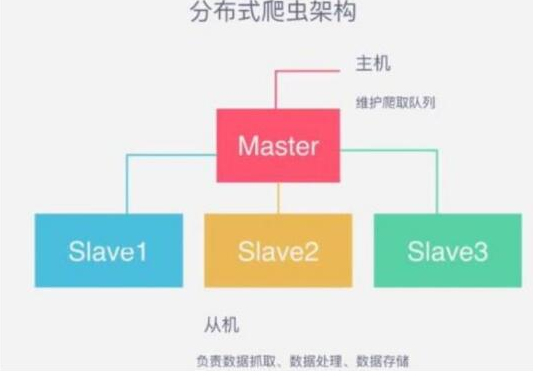 代理ip如何实现分布式爬虫提高采集效率？